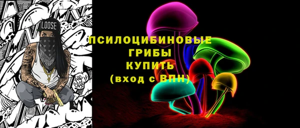 круглые Белокуриха